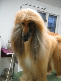 Bath and Drying